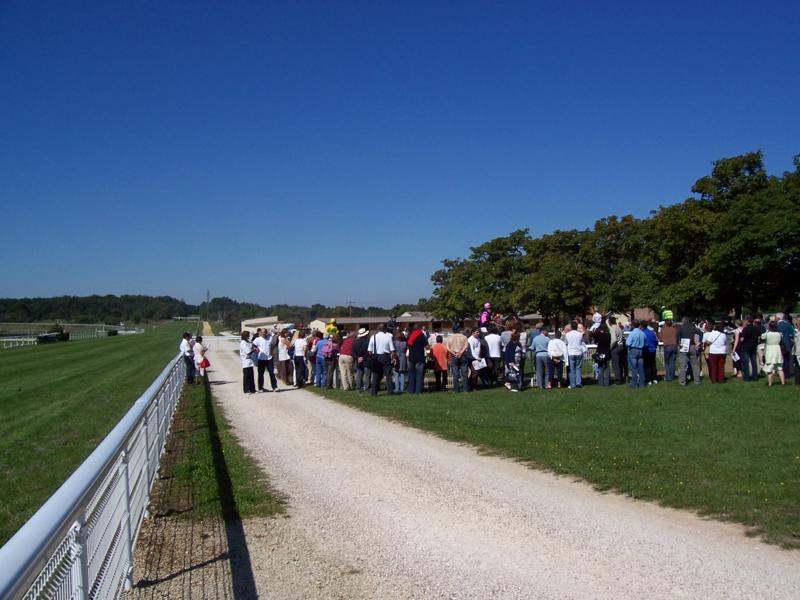 angouleme-races-006_800x600