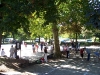100_1059_800x600