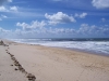 100_0809_800x600
