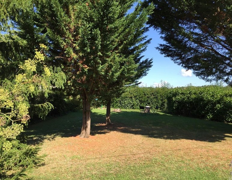 front-garden