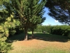 garden-2015