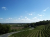 100_0528_800x600