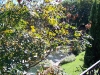 100_1090_800x600
